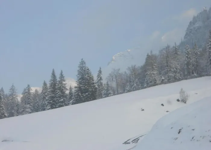 Haus Panorama
